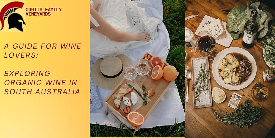 Exploring the best Organic Wines from Mclaren Vale