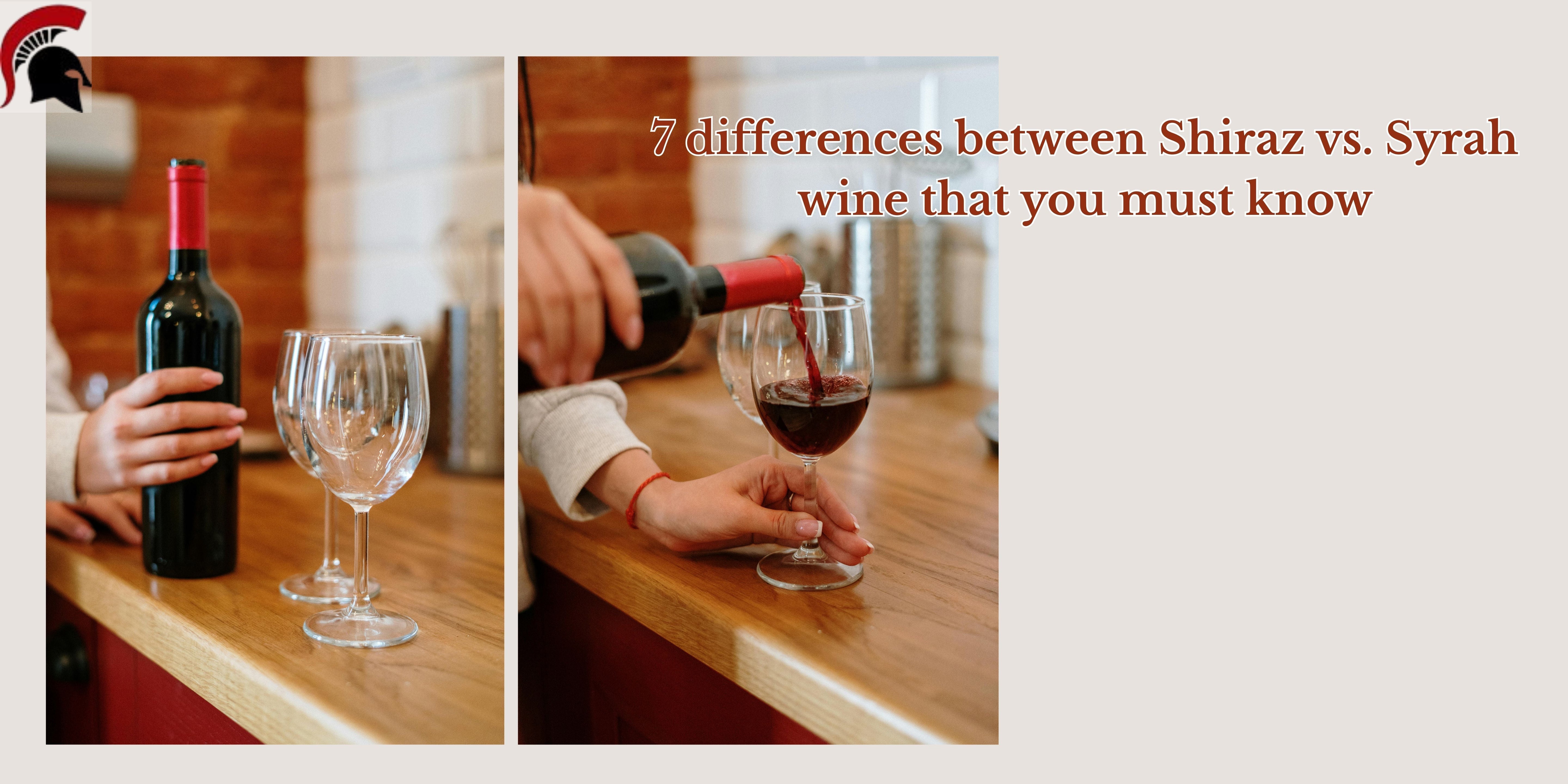 Differences between Shiraz vs Syrah wine - Curtis winery