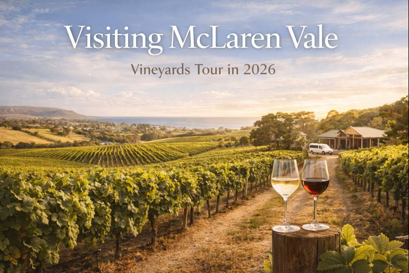 McLaren Vale Vineyards tour in 2026 - Curtis family vineyards