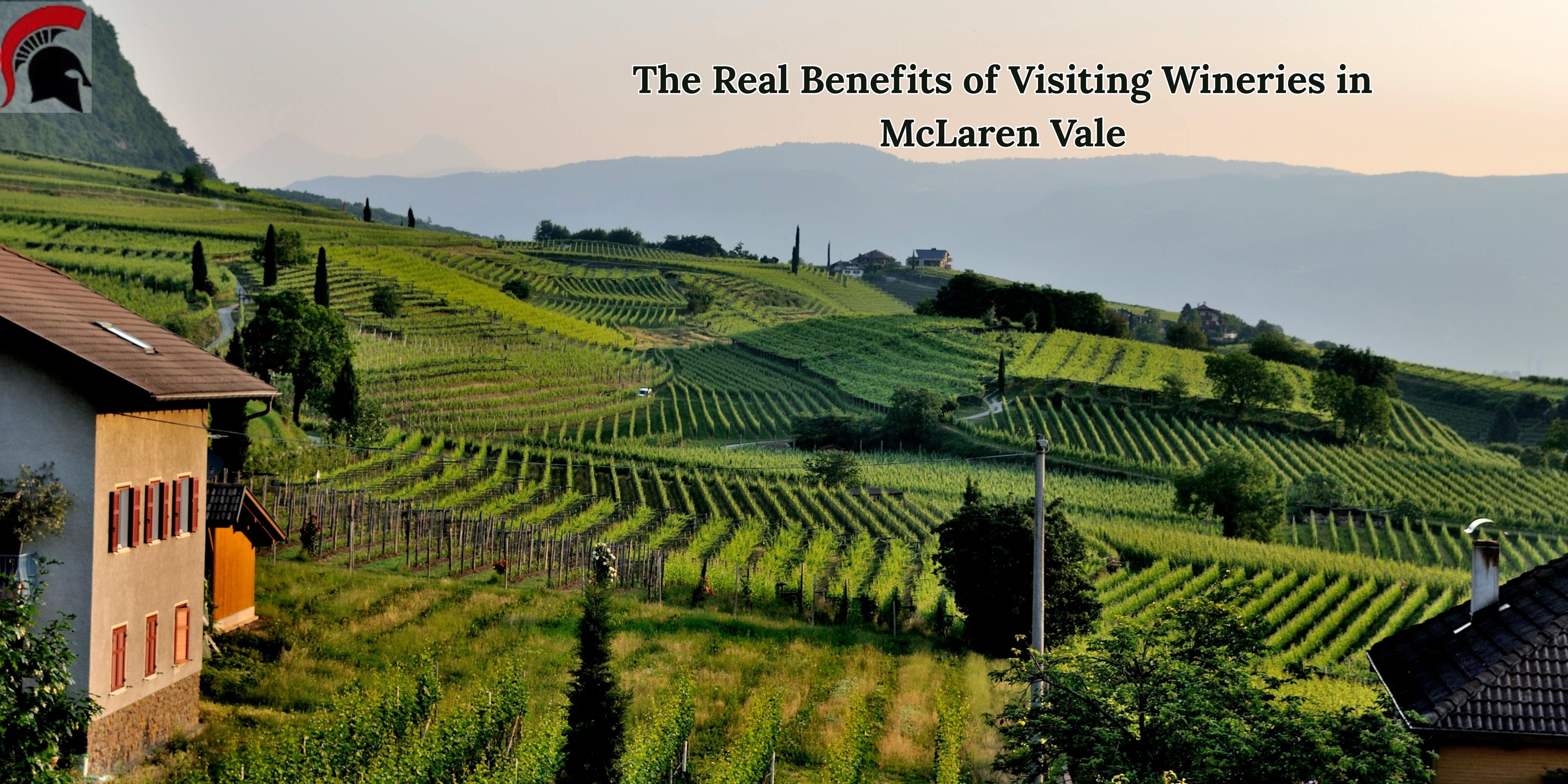 Wineries in Mclaren vale, SA - Curtis family vineyards