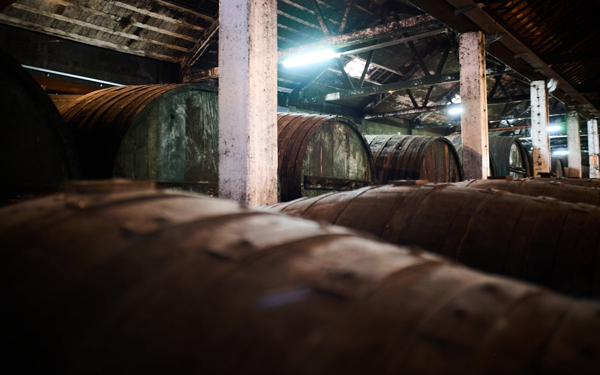 Rows of old wine barrels in a dimly lit cellar.