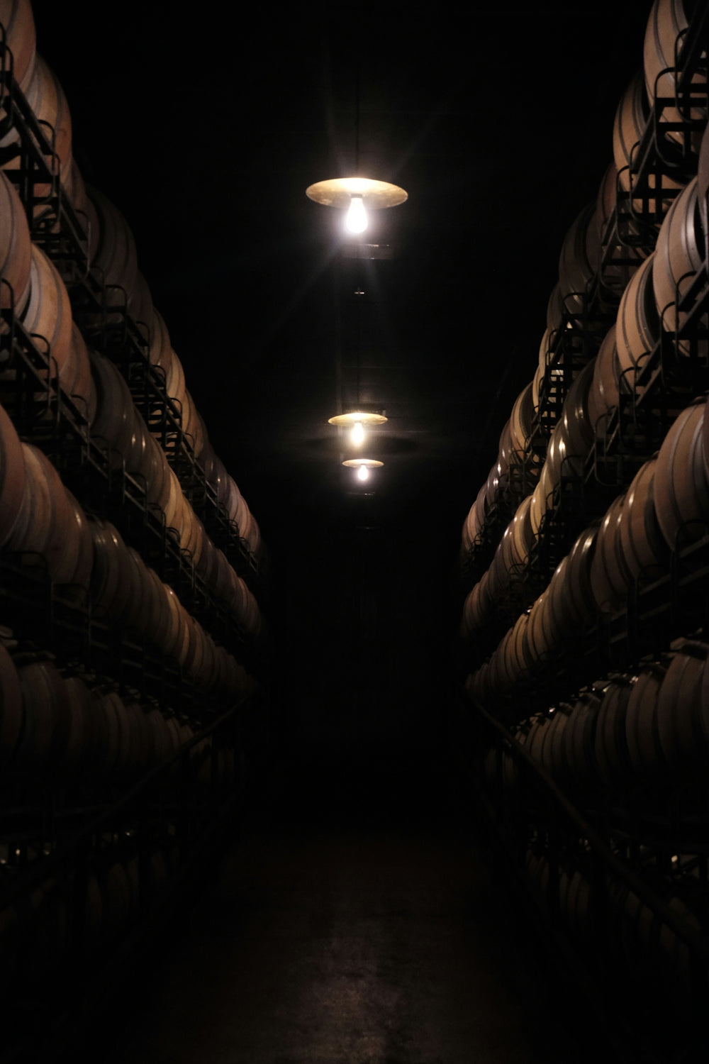 Rows of wine barrels in a dark cellar