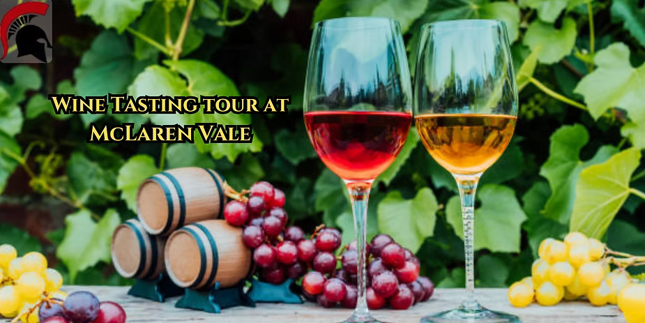  Best Wine Tasting tour at Curtis Family Vineyards, SA