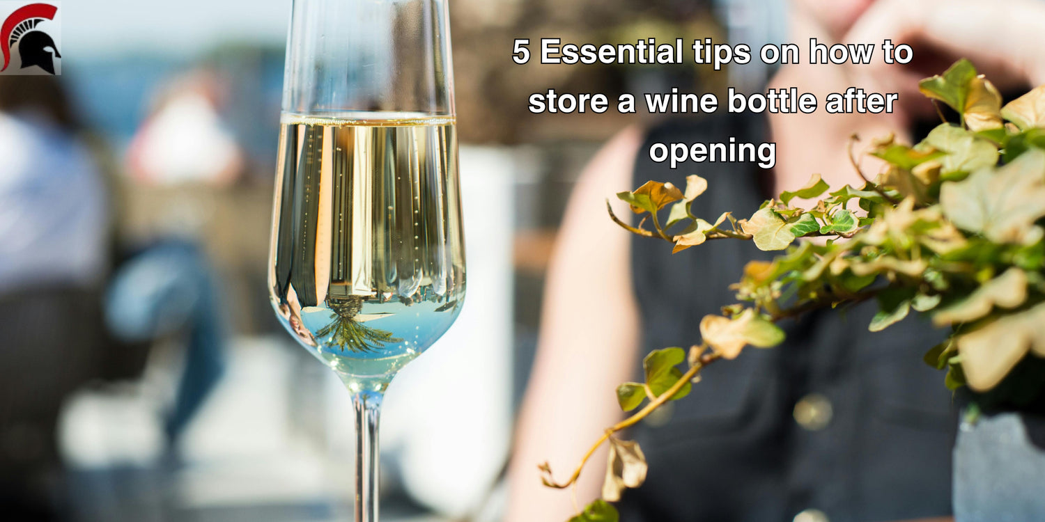 5 essential tips on How to store wine bottle after opening