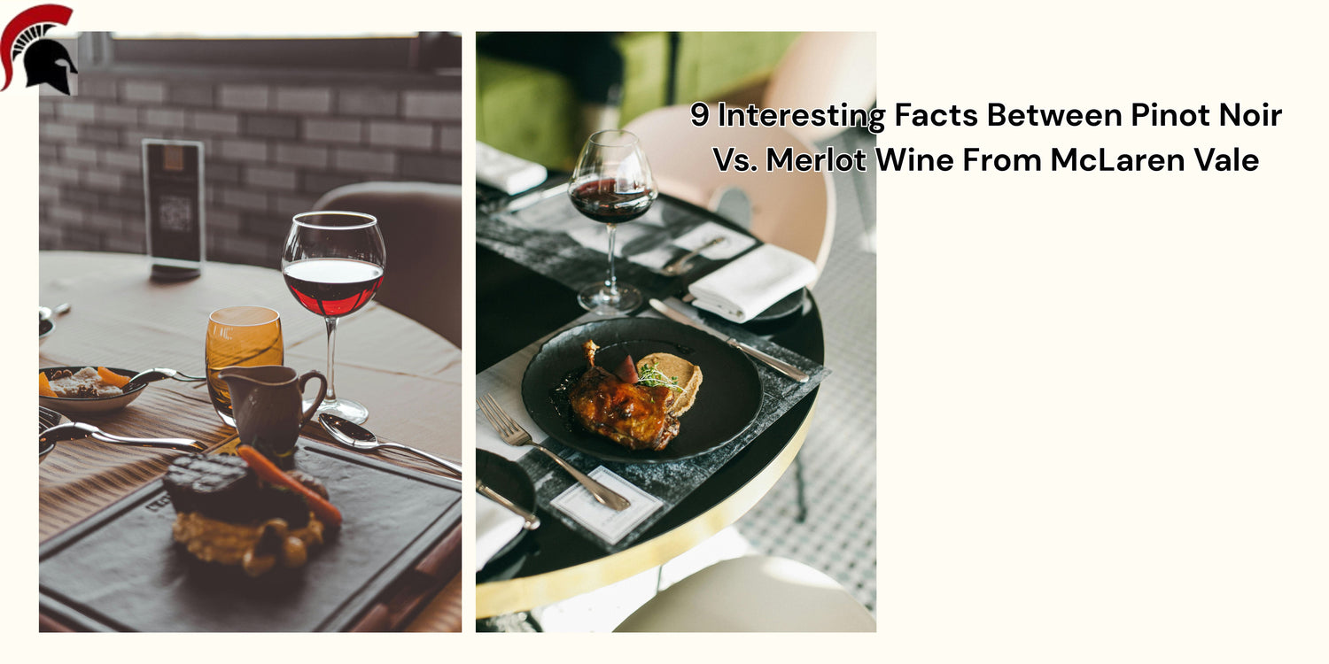 9 Interesting Facts Between Pinot Noir Vs. Merlot Wine From Mclaren Vale