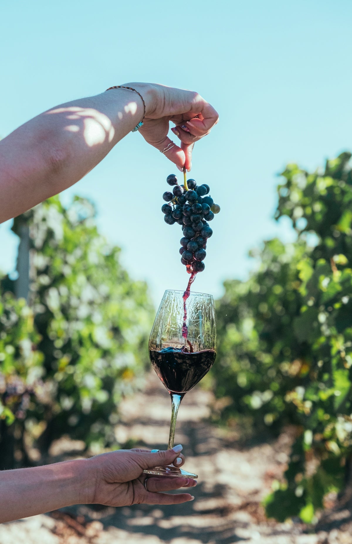 A person holding a glass of wine in their hand